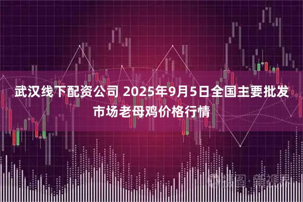 武汉线下配资公司 2025年9月5日全国主要批发市场老母鸡价格行情